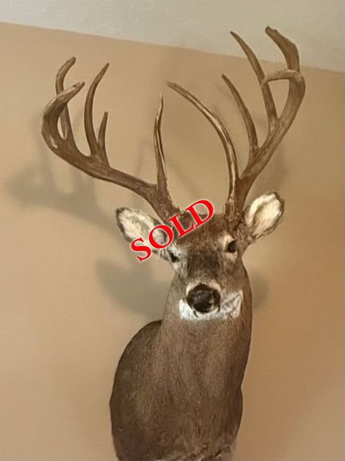 Lewis Auction